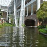 OTRA2014_0818 (August 29, 2014)